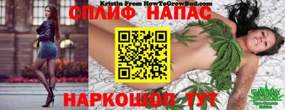 ГАЛЛЮЦИНОГЕННЫЕ ГРИБЫ Бузулук
