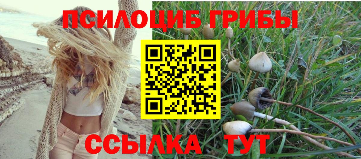 Псилоцибиновые грибы Magic Shrooms Новокузнецк
