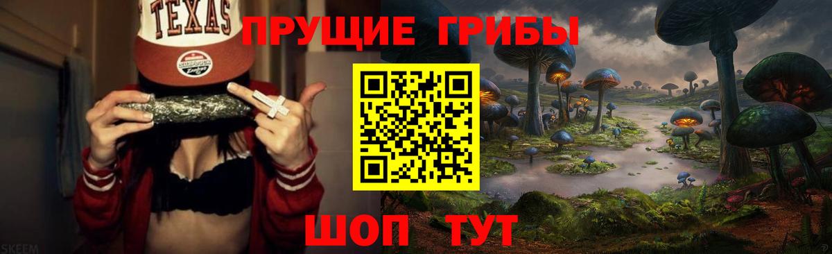 Новокузнецк  Псилоцибиновые грибы Cubensis  Вход с VPN 